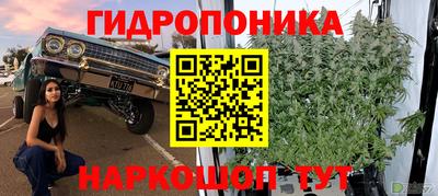 спиды Малгобек