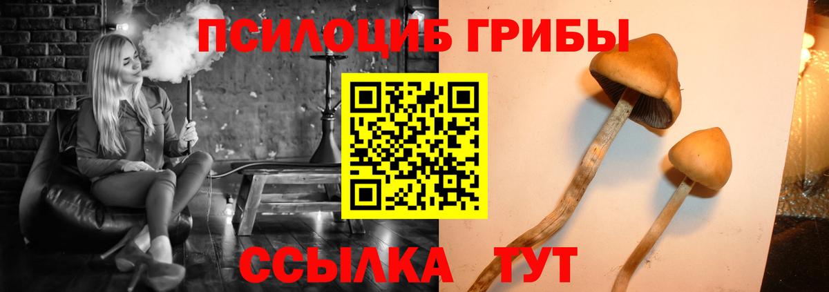 купить наркоту  Вход с VPN  Бугульма  Псилоцибиновые грибы мухоморы 
